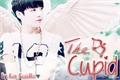 História: The Cupid