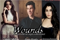 História: Wounds (!Angel Camila) (!Demon Lauren)
