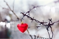 História: Dias de Inverno: Amor &#224; Tr&#234;s