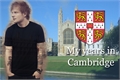 História: My years in Cambridge - Ned Larry Ziam