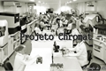 História: Projeto Chromat - INTERATIVA