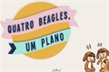 História: Quatro beagles, um plano.