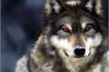 História: Teen WolfTeen Vampire (interativa)