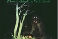 História: Who is behind the wolf eyes? ( Oneshot )
