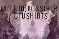 História: The (im)possible crush