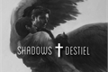 História: Shadows Destiel