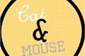 História: Cat &amp; Mouse
