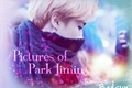 História: Pictures of Park Jimin