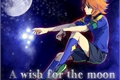 História: A wish for the moon