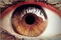 História: A garota de olhos castanhos