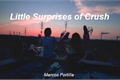 História: Little Surprises of Crush