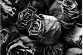 História: Me responda se as rosas morrem.