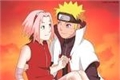 História: Narusaku Eterno?!