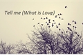 História: Tell me (What is Love)