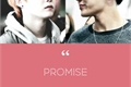 História: Promise &#215; YoonSeok &#215; MPreg!