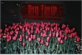 História: Red Tulip