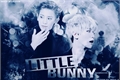 História: Little Bunny