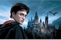 História: Harry Potter e sua Vida quase (im)perfeita