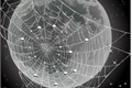 História: Moon And Webs