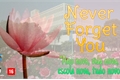 História: Never Forget You