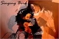História: Singing Bird