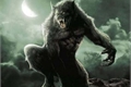 História: Werewolves and Supernatural Creatures (Rewrite)