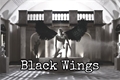 História: Black Wings (Vkook)