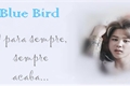 História: Blue Bird