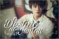 História: O destino nos juntou. (Imagine jin)