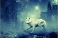 História: El amor entre los lobos