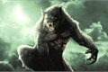 História: Wolf of hope