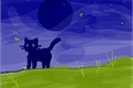 História: O gato e a lua.