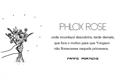 História: Phlox Rose