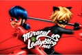 História: Assistindo Miraculus as Aventuras de Ladybug e Chat Noir