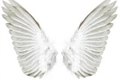 História: Escola para anjos(interativo)