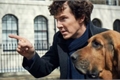 História: Sherlock: From Baker Street (hiato)