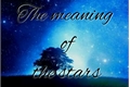 História: O Significado Das Estrelas