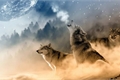 História: The konoha wolves