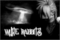 História: White Rabbits