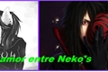 História: Amor entre Neko&#39;s