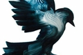 História: Black Bird (EM REVIS&#195;O)
