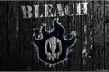História: Bleach uma hist&#243;ria diferente -Hiatus-