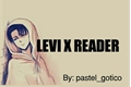 História: Levi x reader