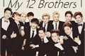 História: My 12 Brothers - Imagine EXO