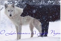 História: O Lobo Branco e A Loba Negra