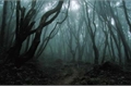 História: Haunted Florest +○+