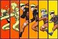 História: Naruto e as cocotas