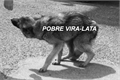 História: Pobre Vira-Lata
