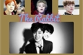 História: The Rabbit