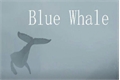 História: Baleia Azul:Hist&#243;ria Real